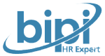 BIPI Consulting